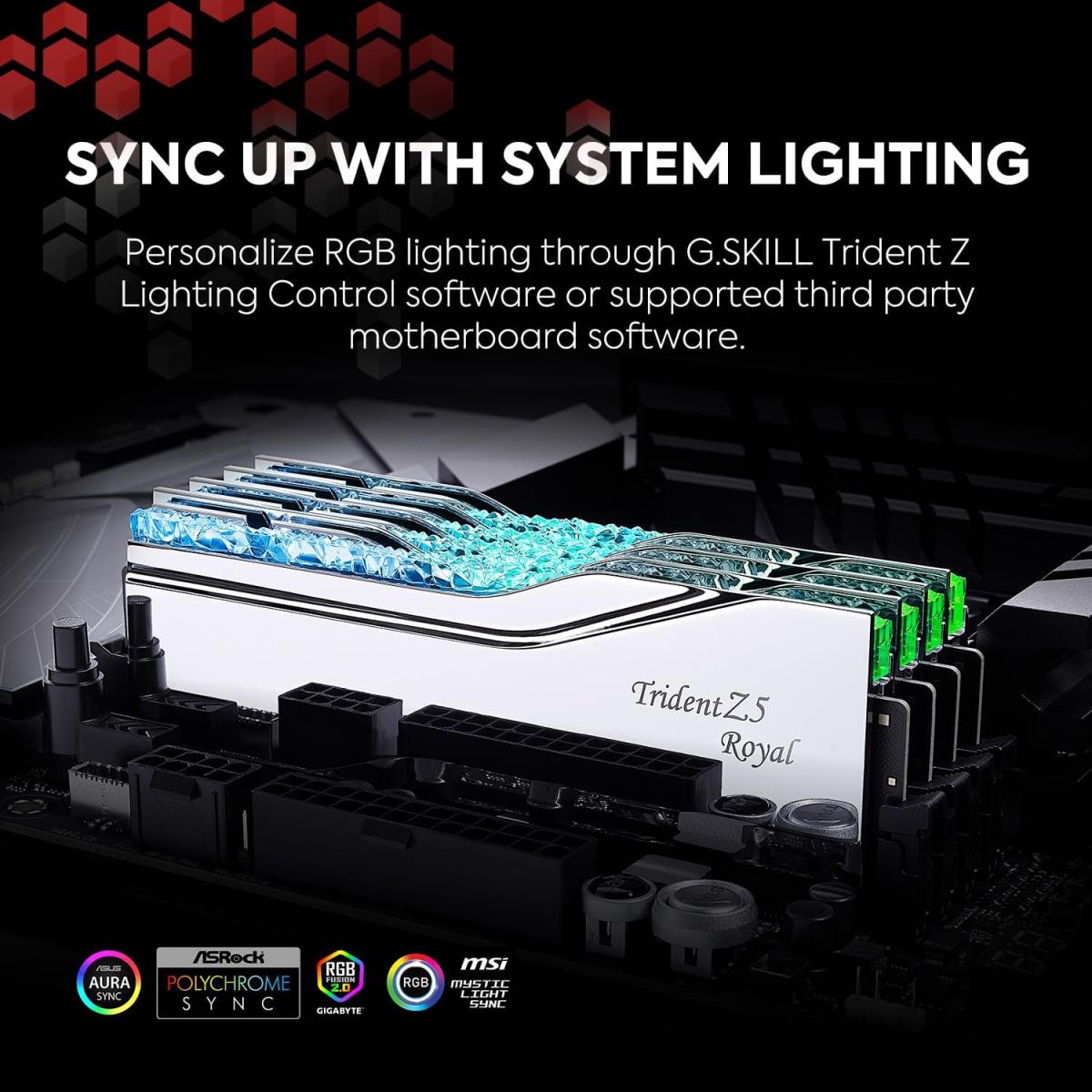 G.SKILL Trident Z5 Royal (Intel XMP 3.0) RGB Series 32GB (2 x 16GB) PC RAM DDR5 6400 Desktop Memory - Silver